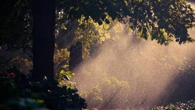 Якою буде погода у Львові та області завтра, 22 серпня