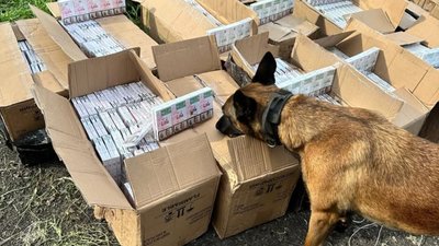 Контрабандні сигарети виявили у вантажному потягу на кордоні з Угорщиною (ВІДЕО)