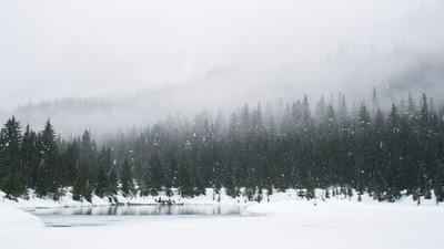 Якою буде погода у Львові та області завтра, 29 січня