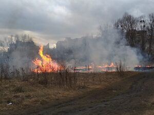 На Львівщині вперто палять суху траву та чагарник: екологічна загроза довкіллю триває (фото)