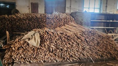 Жителька Львівщини отримала підозру за контрабанду лісоматеріалів до ЄС (ФОТО)