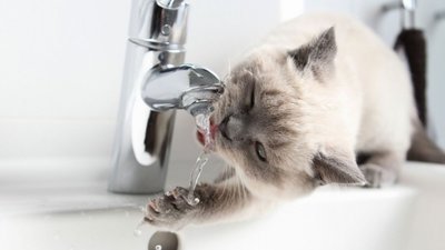 У вівторок частина львів'ян буде без води