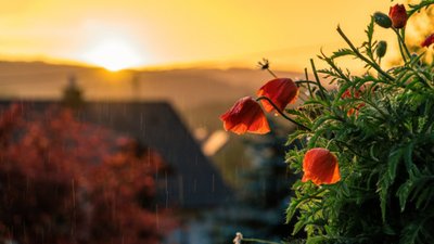 Якою буде погода у Львові та області завтра, 9 вересня