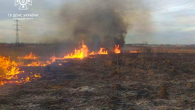 Палії, схаменіться: на Львівщині за добу гасили кілька десятків пожеж сухої трави (ФОТО)