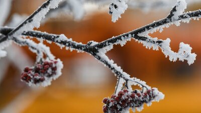 Синоптик повідомила, коли та де в Україні  температура буде близько 0 °C