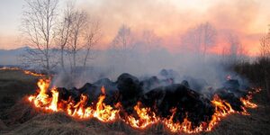 Увага! Рятувальники попереджають про пожежну небезпеку на Львівщині