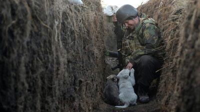  Кремінь уточнив, чи порушують закон про мову в ЗСУ