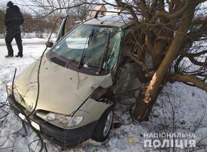 На Волині в ДТП травмувались діти: авто злетіло у кювет, де протаранило дерево (фото)