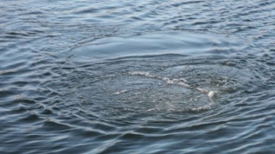 На Львівщині у річці знайшли тіло жінки