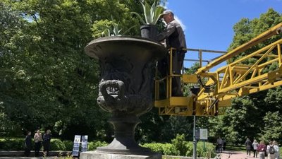 У Львові на вході до парку Франка знову висадили агави