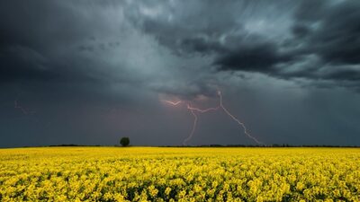 Якою погода у Львові та області у другий день літа: прогноз погоди