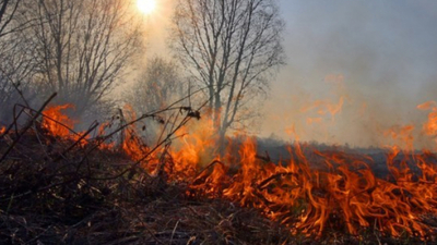 Погода на Львівщині: прогноз на середу, 10 квітня