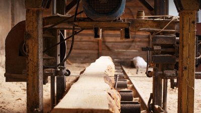 На Львівщині підприємець у сфері деревообробної промисловості ухилявся від сплати податків: БЕБ забезпечило відшкодування коштів