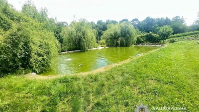 На Тернопільщині у штучній водоймі ледь не втопився трирічний хлопчик