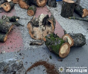 У Львівській області трагічно загинув 17-річний хлопець