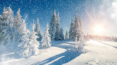 Якою буде погода у Львові та області завтра, 7 січня