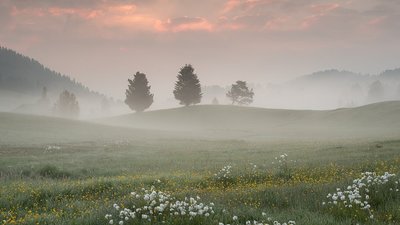 Якою буде погода у Львові та області завтра, 10 вересня