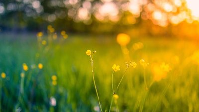 Якою буде погода у Львові та області завтра, 22 березня