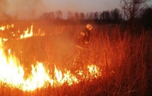 Уряд підтримав підняття штрафів за підпалювання трави: порушники можуть заплатити від 42 тис грн