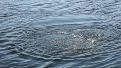 У водоймі на Львівщині знайшли мертвого молодика, який зник кілька днів тому