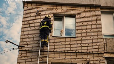 На Львівщині надзвичайники врятували кота