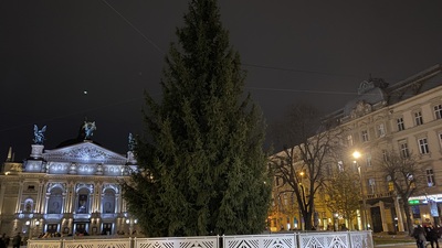 У Львові традиційно запалять головну новорічну ялинку міста: трансляція