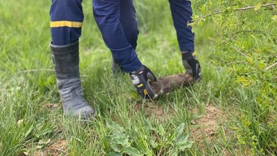 На Львівщині знищили два артснаряди