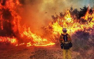 Мешканців Львівщини попереджають про надзвичайну пожежну небезпеку