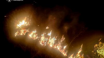 На Львівщині за добу зафіксовано 80 пожеж сухої трави