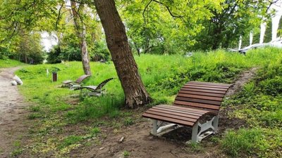 У вівторок у Львові завершать осінню акарицидну обробку парків