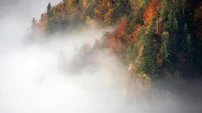 Якою буде погода у Львові та області завтра, 4 грудня