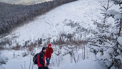 У Карпатах за дивних обставин загинув турист, якого друг залишив біля вогнища