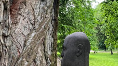 У Львові дозволили прогулянки у міських парках