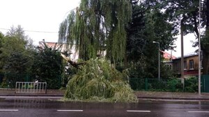 У Львові ліквідовують наслідки негоди