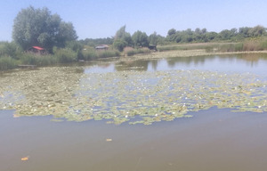 На Львівщині втопився чоловік  