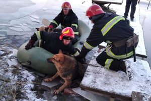 Хмельницькі рятувальники врятували собак, які провалилися під лід (фото, відео)