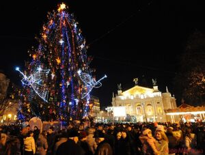 Стало відомо, яка новорічна ялинка прикрашатиме центр Львова