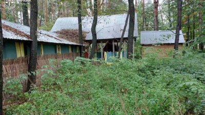 Жителя Львівщини зобов'язали повернути у комунальну власність майже гектар лісу