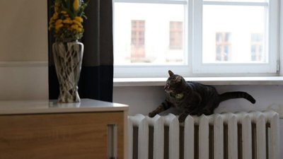 Стало відомо, чи у Львові призупинятимуть опалювальний сезон