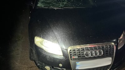 На Львівщині п’яний водій збив чоловіка на пішохідному переході