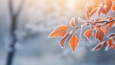 Якою буде погода у Львові та області завтра, 26 грудня