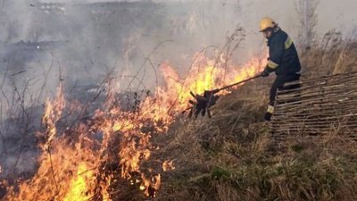 На Великдень на Львівщині горіло 3600 метрів сухостою