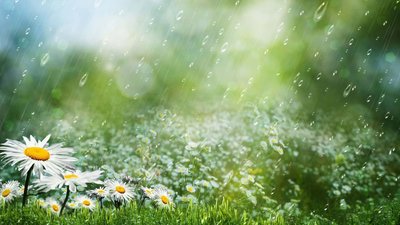 Якою буде погода у Львові та області завтра, 30 березня