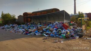 Дрогобич просяк смородом власних відходів (фото)