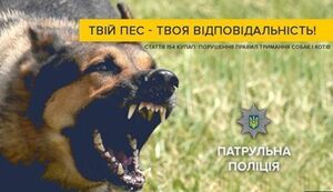 Твій пес - твоя відповідальність