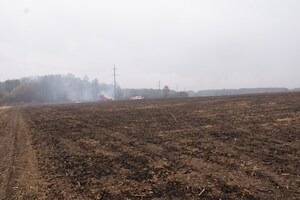 На Тернопільщині виявили муміфіковане тіло невідомого в полі (фото)