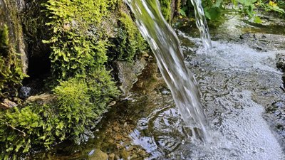 Вода з гірського джерела ледь не вбила: на Львівщині чоловік у реанімації через гепатит А