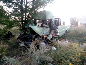 ДТП на Одещині: рятувальники витягли загиблого водія мікроавтобуса (фото)