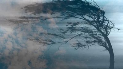 На Львівщині через негоду без світла 103 населені пункти, вітер валить дерева і зриває дахи