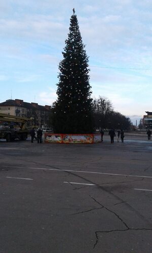 У Червонограді вандали пошкодили головну ялинку міста (фото)